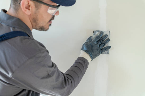 Best Real Estate Mold Inspection  in Wauregan, CT