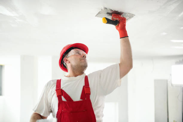 Best Attic Mold Removal  in Wauregan, CT
