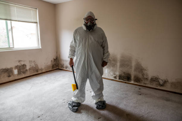Best Biohazard Mold Removal  in Wauregan, CT