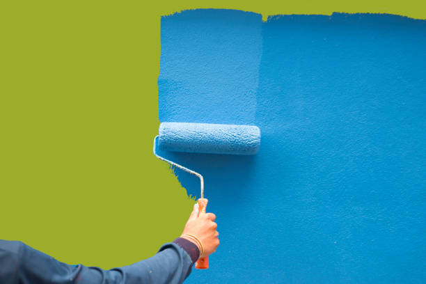 Best Mold Damage Restoration  in Wauregan, CT